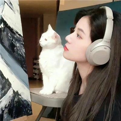 战国妖姬